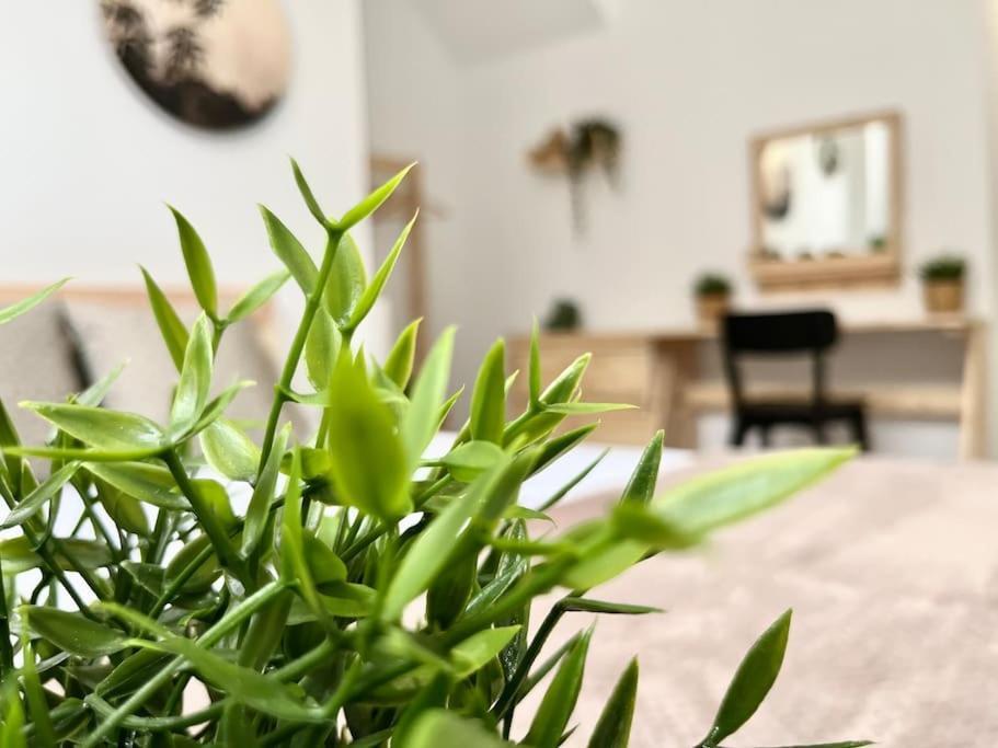 Apartamento Vive Zaragoza V Extérieur photo